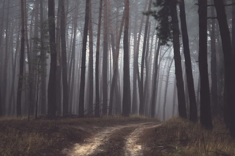 America's Vanishing Zones: The Geographic Hotspots Where People Simply Cease to Exist