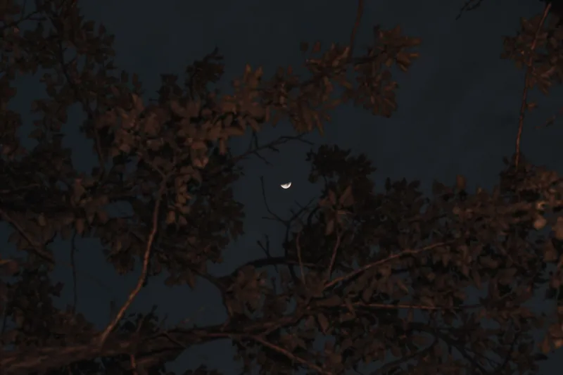 The Ghost Calendar: Paranormal Researchers Are Tracking Activity Patterns — And the Data Is Hard to Ignore